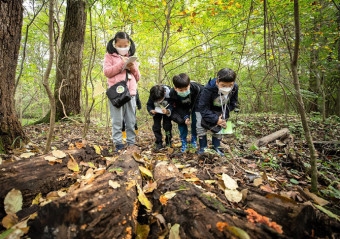 숲 한마당 축제