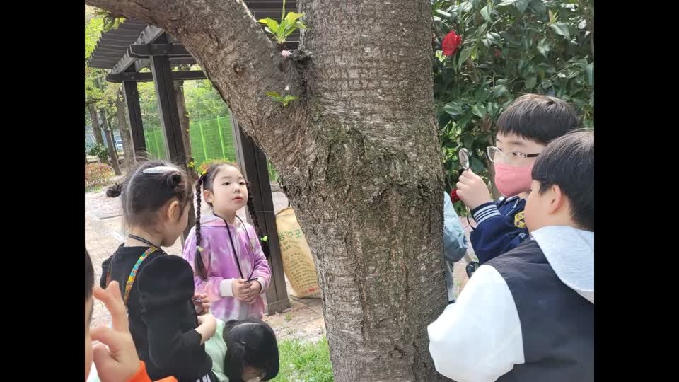 2024년 함안군숲해설 운탁운영 활동